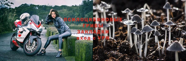 твердый Богданович