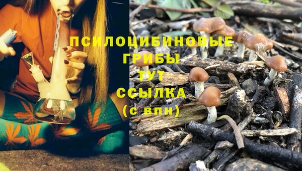 а пвп мука Богородицк
