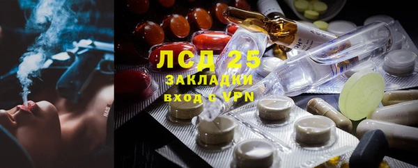 твердый Богданович