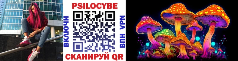 дарк нет Telegram  Кедровый  Псилоцибиновые грибы Magic Shrooms  наркота 